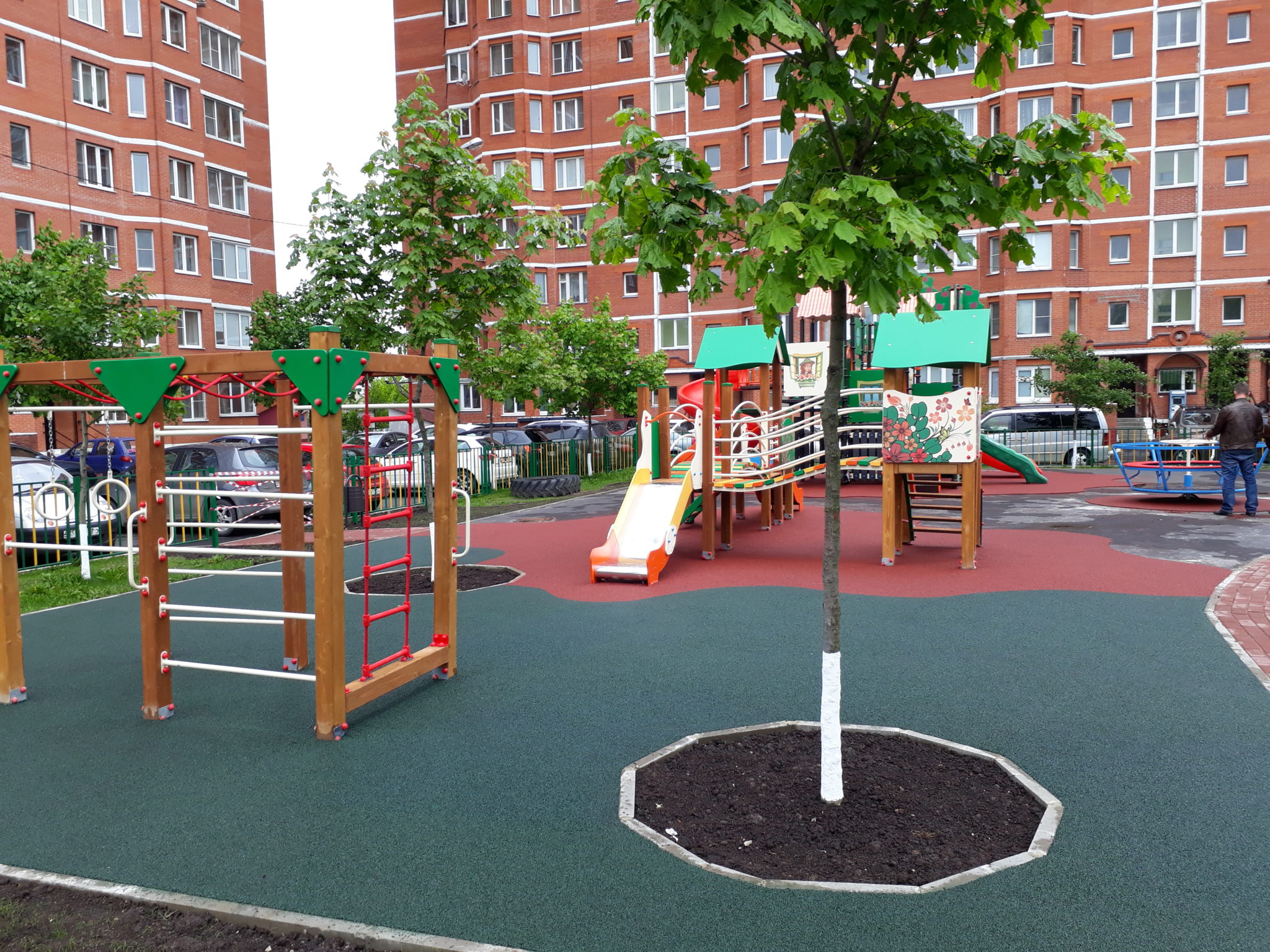 Какие деревья выбрать для детской площадки?